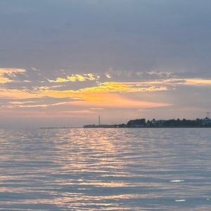 Meet your Posher, Sophia